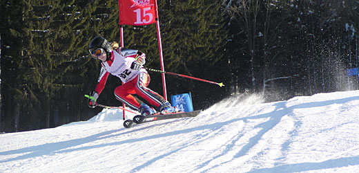 Skischule am Nationalpark Bayerischer Wald